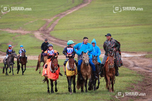 ХЭҮК-оос хурдан морины уралдааныг цуцлах санал хүргүүлжээ